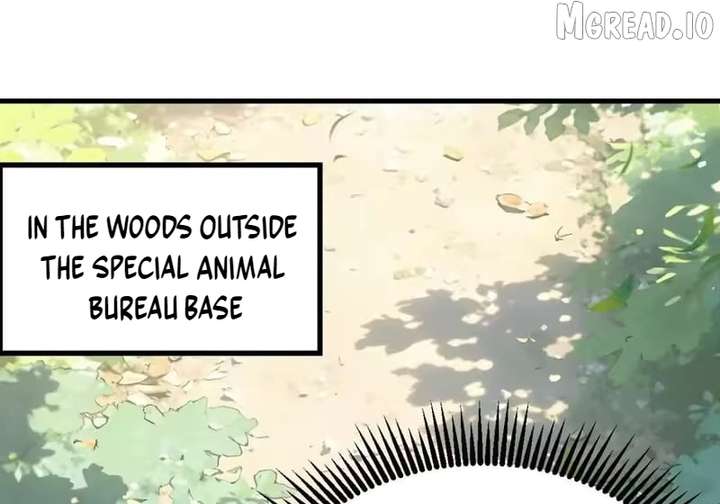 ch 150 33