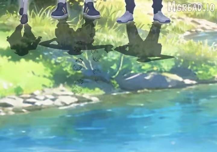 ch 153 24