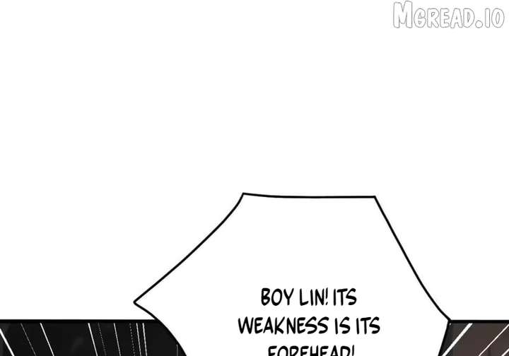ch 155 78