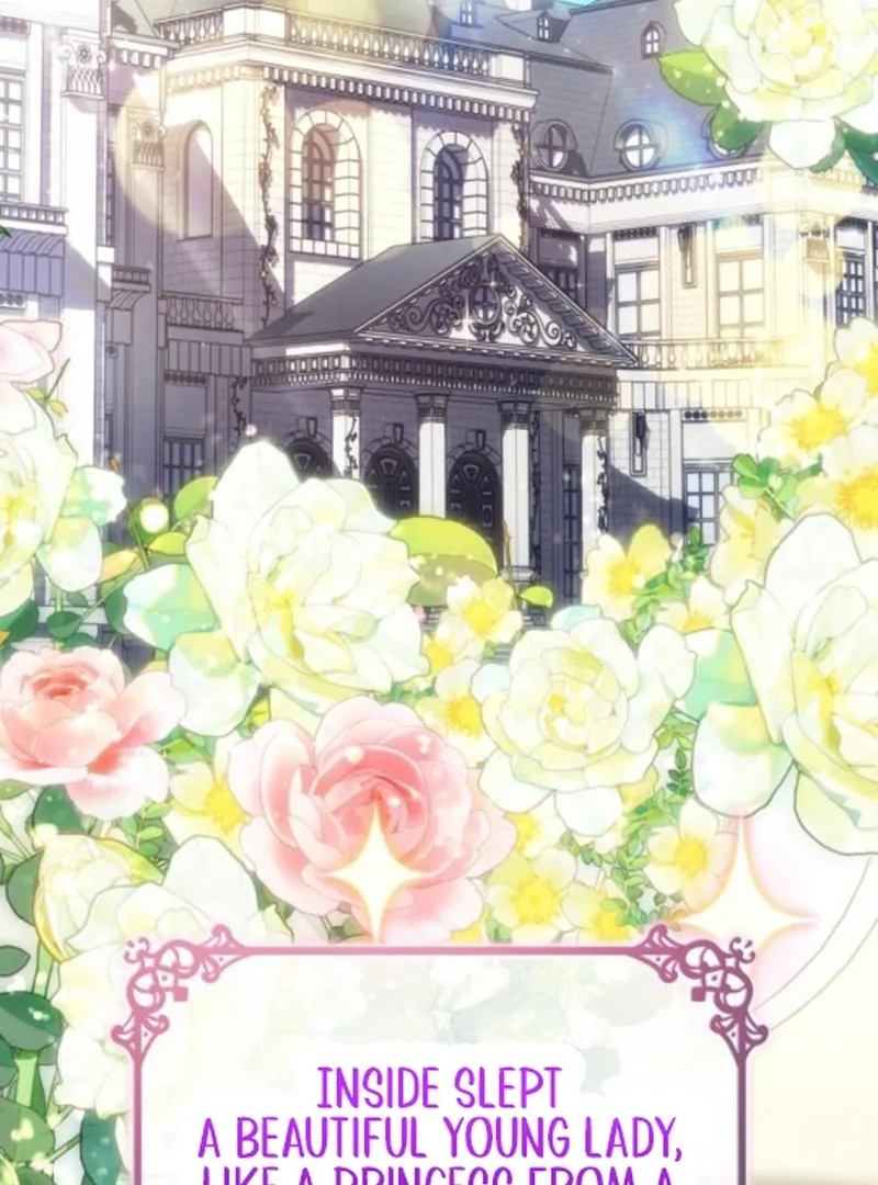 In the Name of Special Contract Marriage Chapter 1 553 ch 1 3