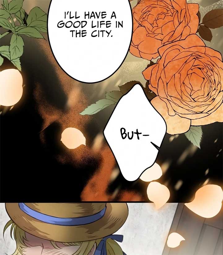 ch 2 11