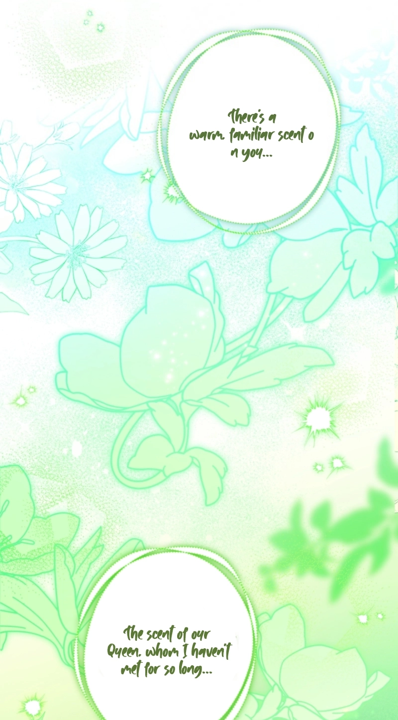 From a background character to the guardian of the marquess’s heir Chapter 68 391 122277e2a6da