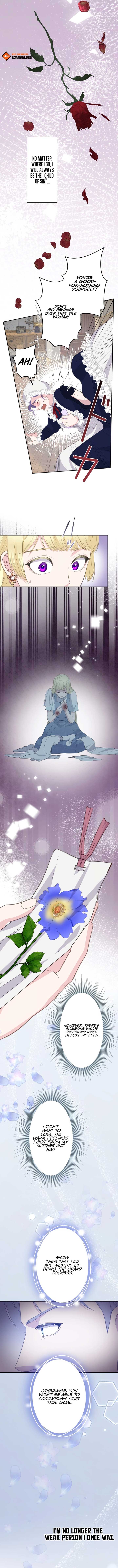 ch 12 3