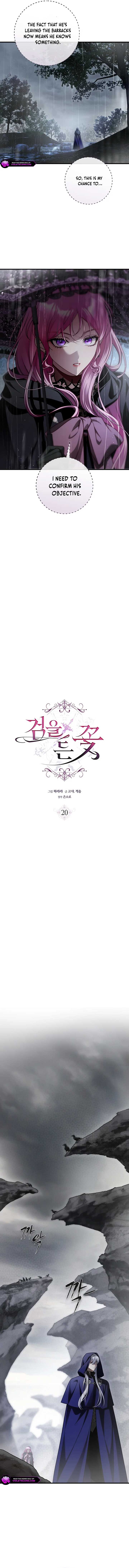 ch 20 2