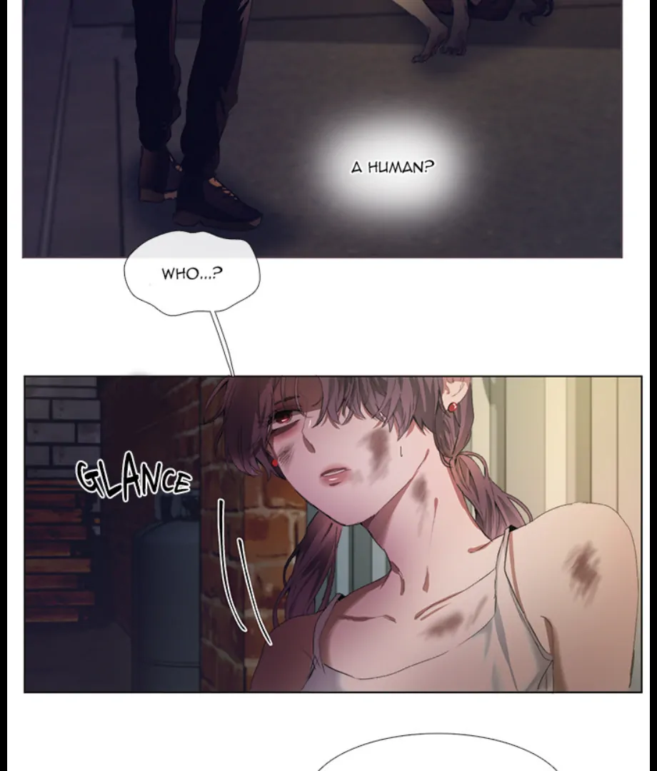 ch 2 88