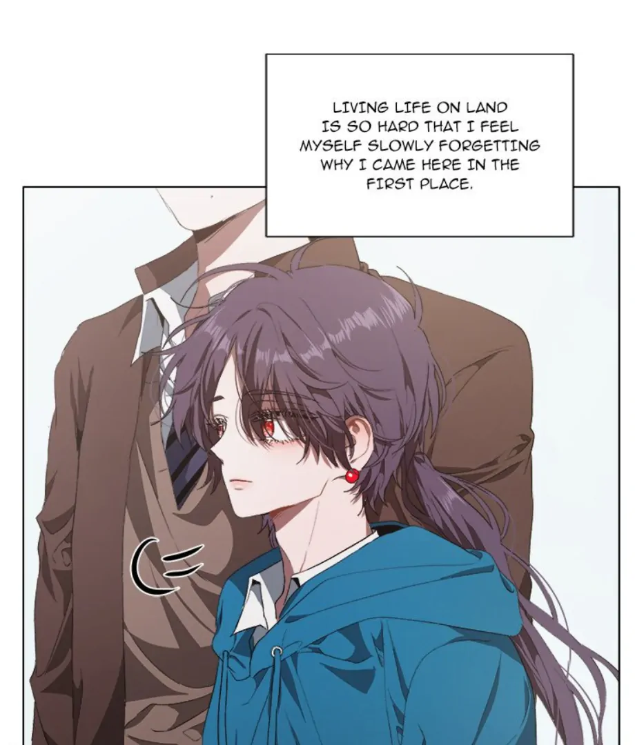 ch 29 8