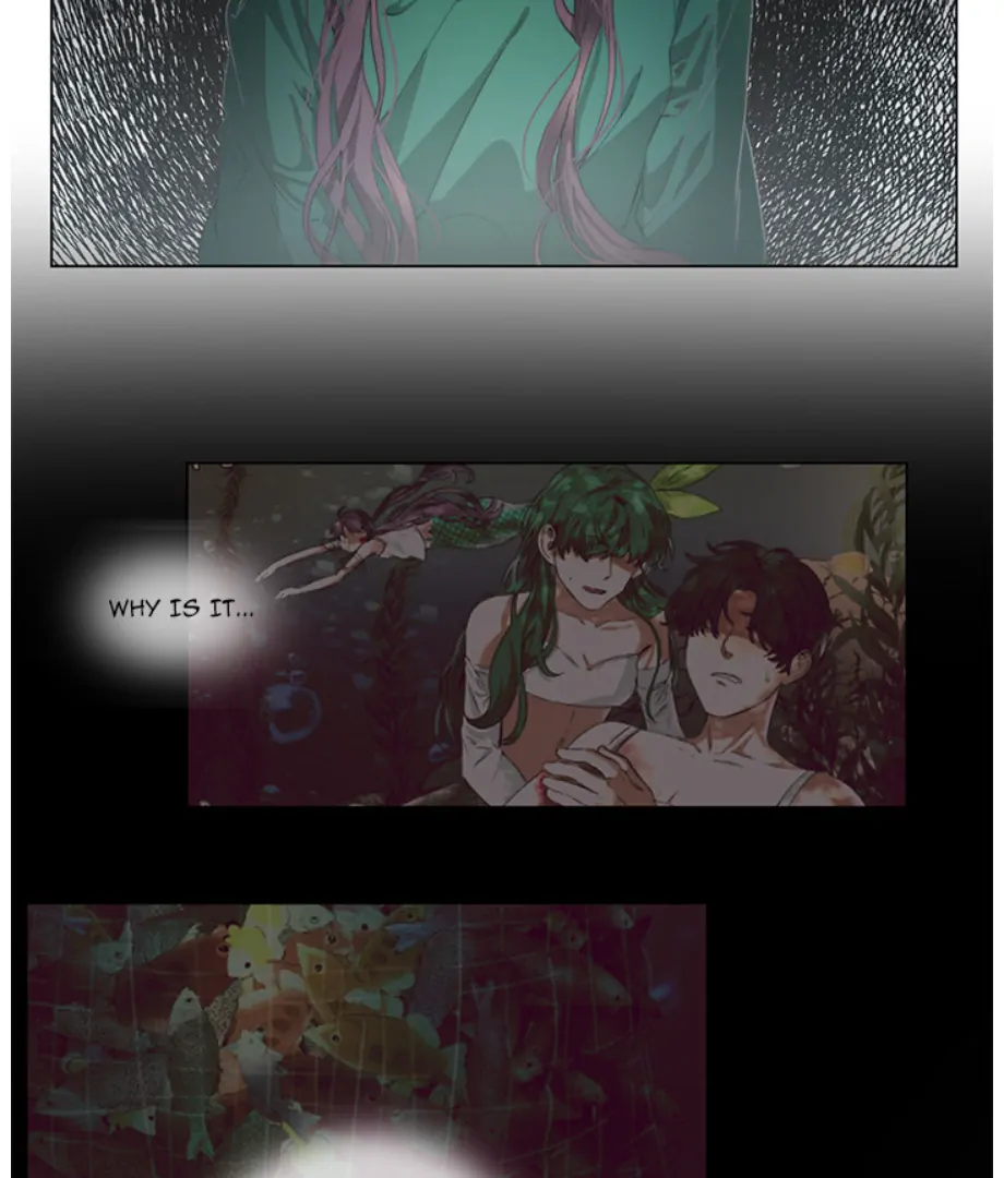ch 3 40