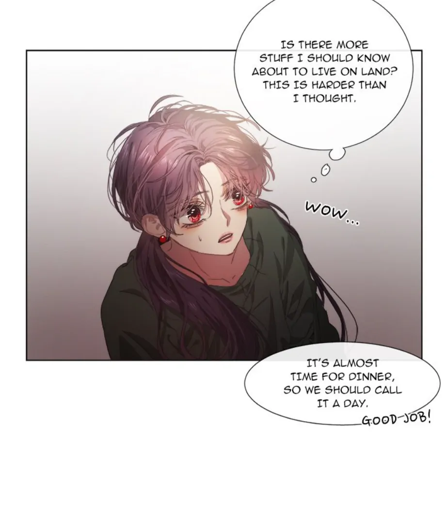 ch 4 19