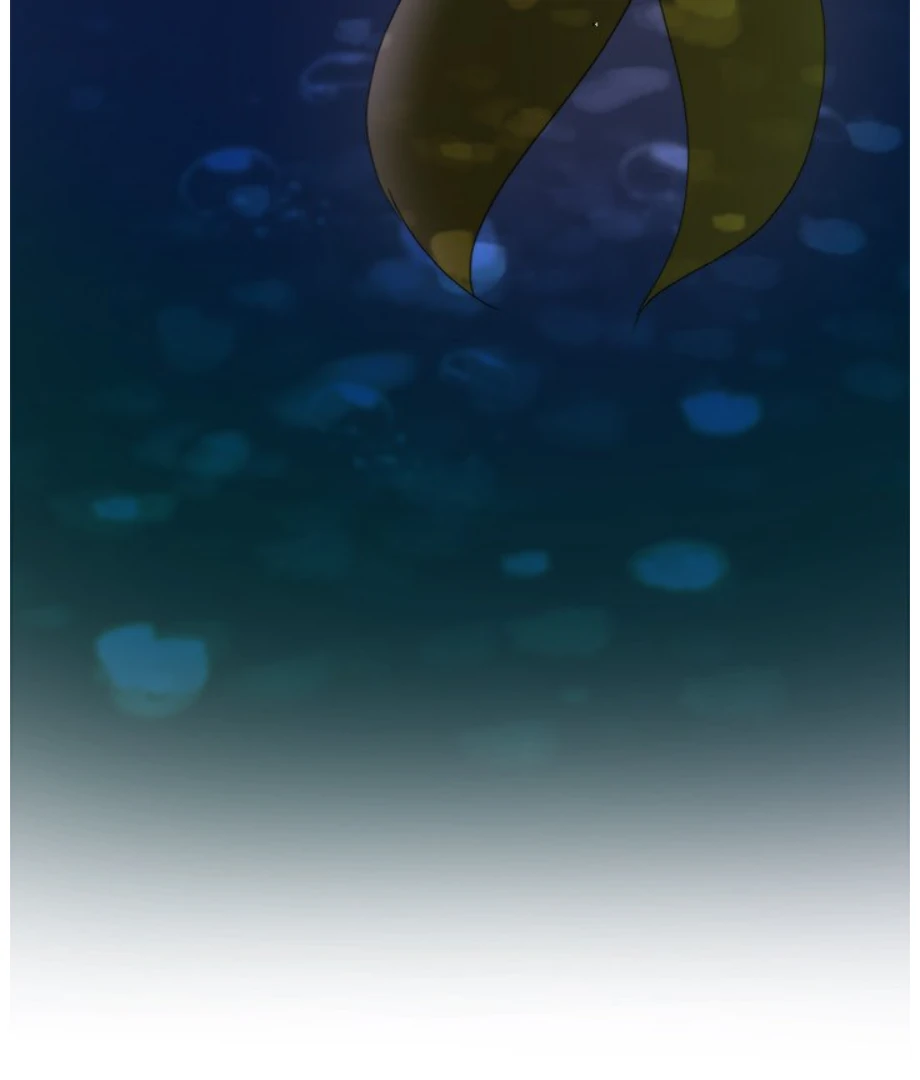 ch 6 88
