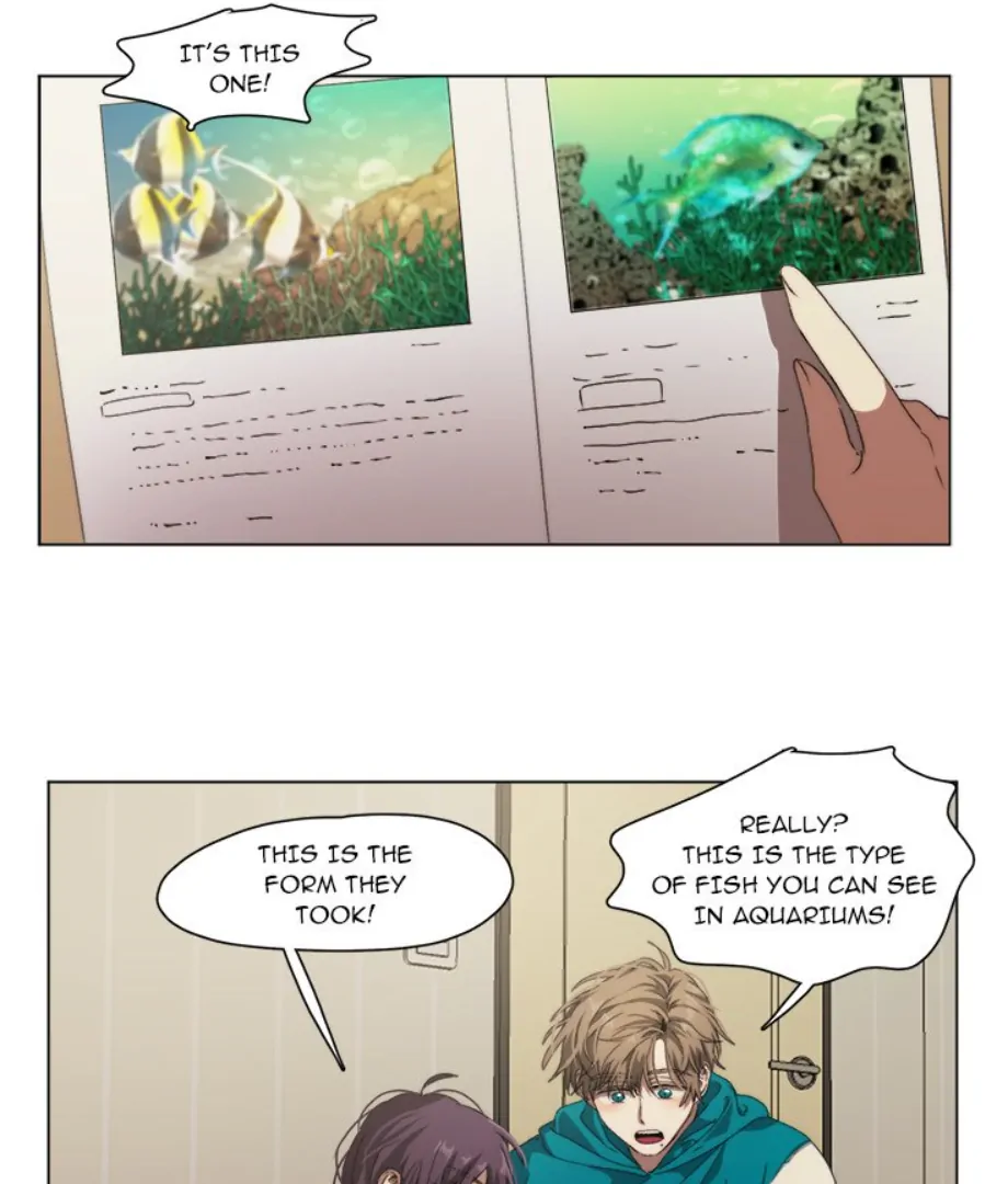 ch 9 37