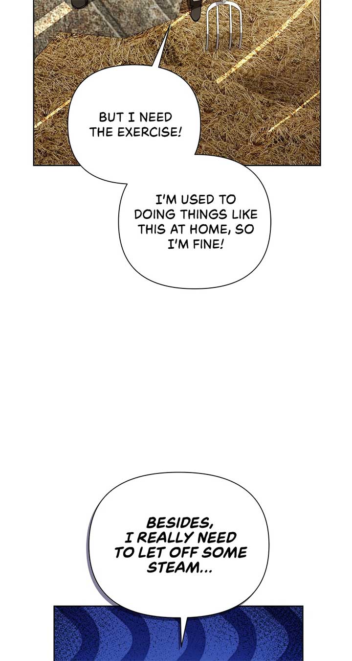 ch 8 17