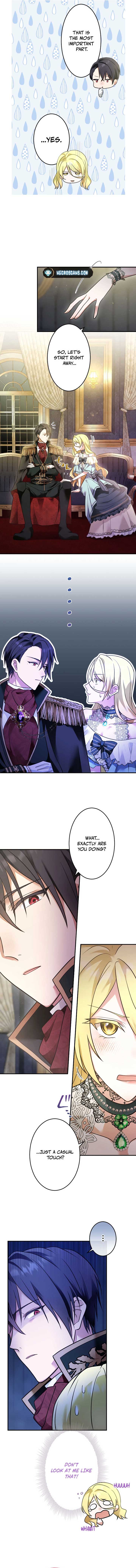 ch 4 6