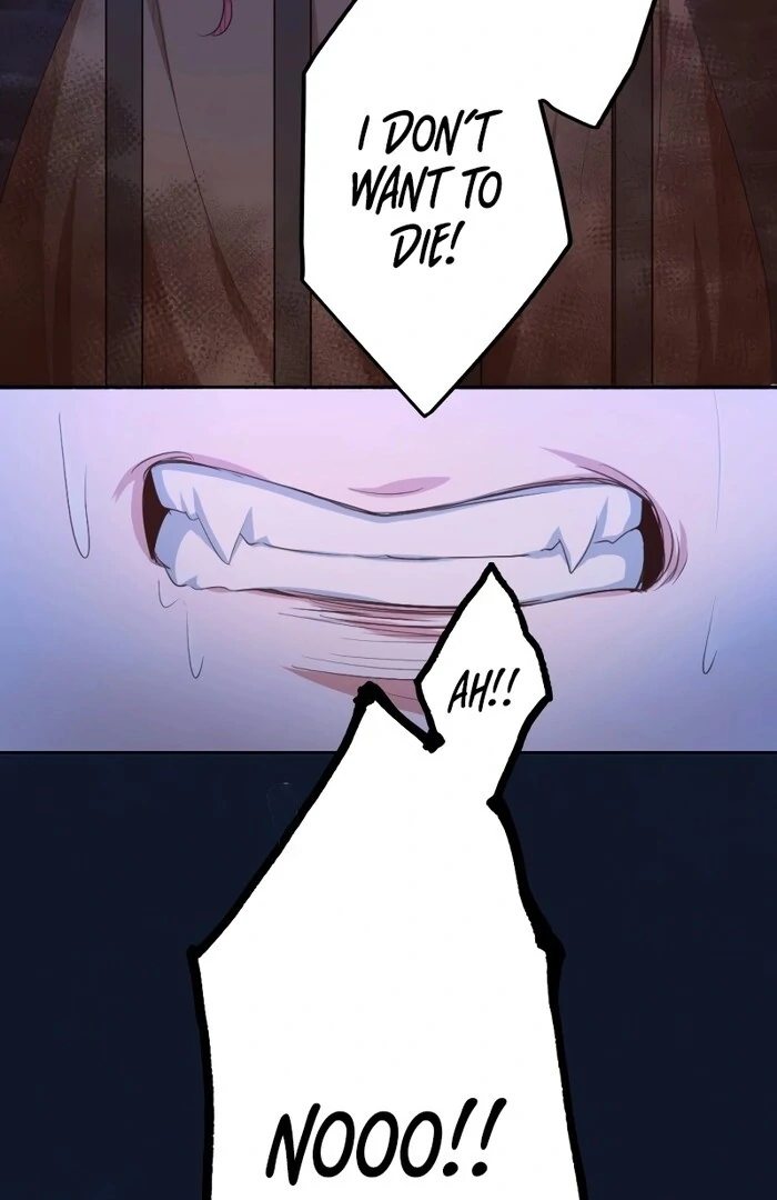 The Unhappy Poison Witch’s Happy Marriage Chapter 13 459 ch 13 104