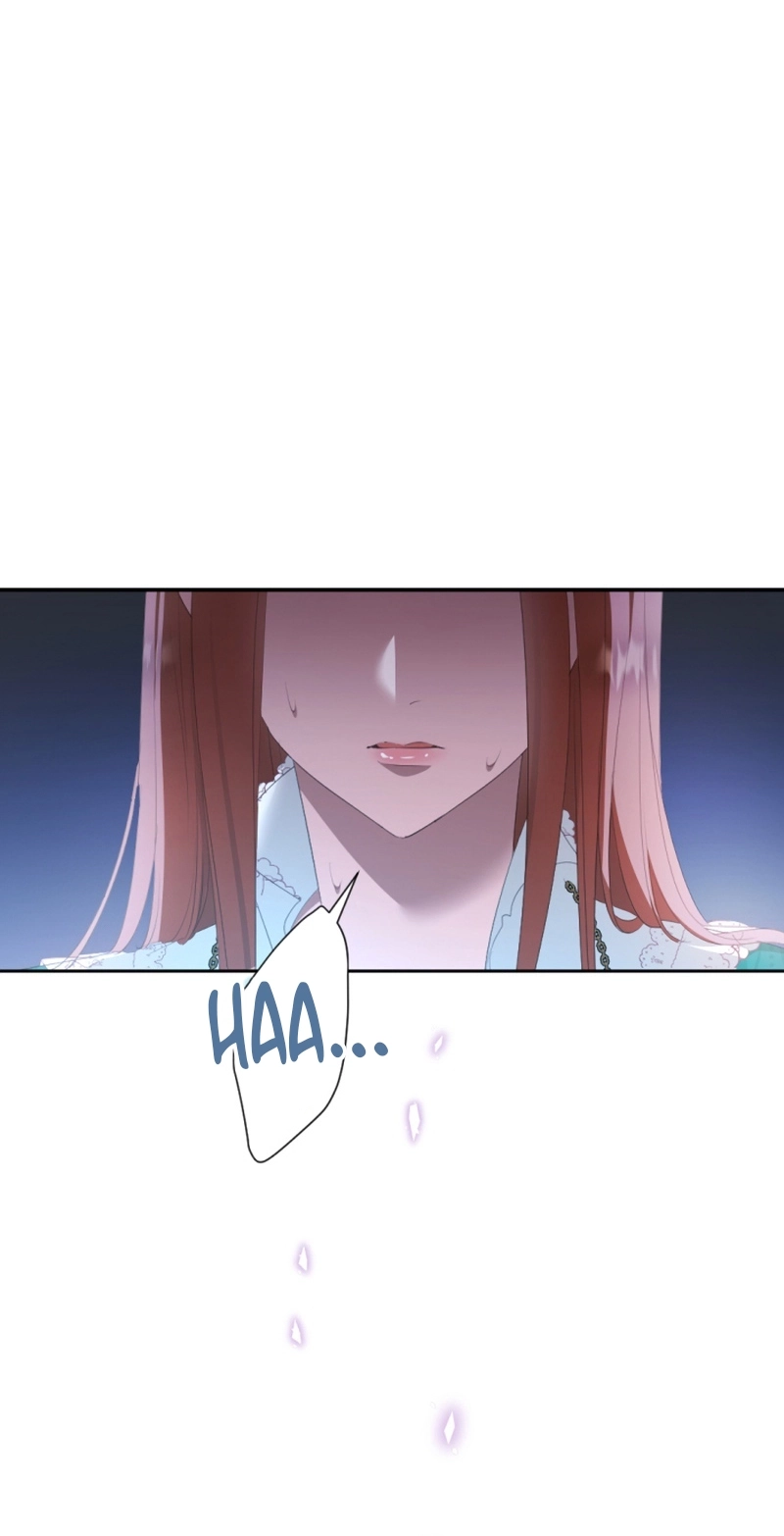 8a36ef8d08da