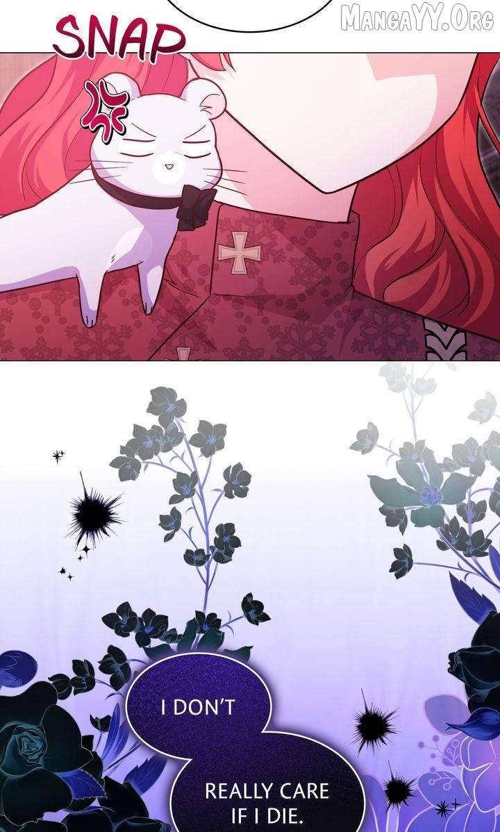 ch 35 11