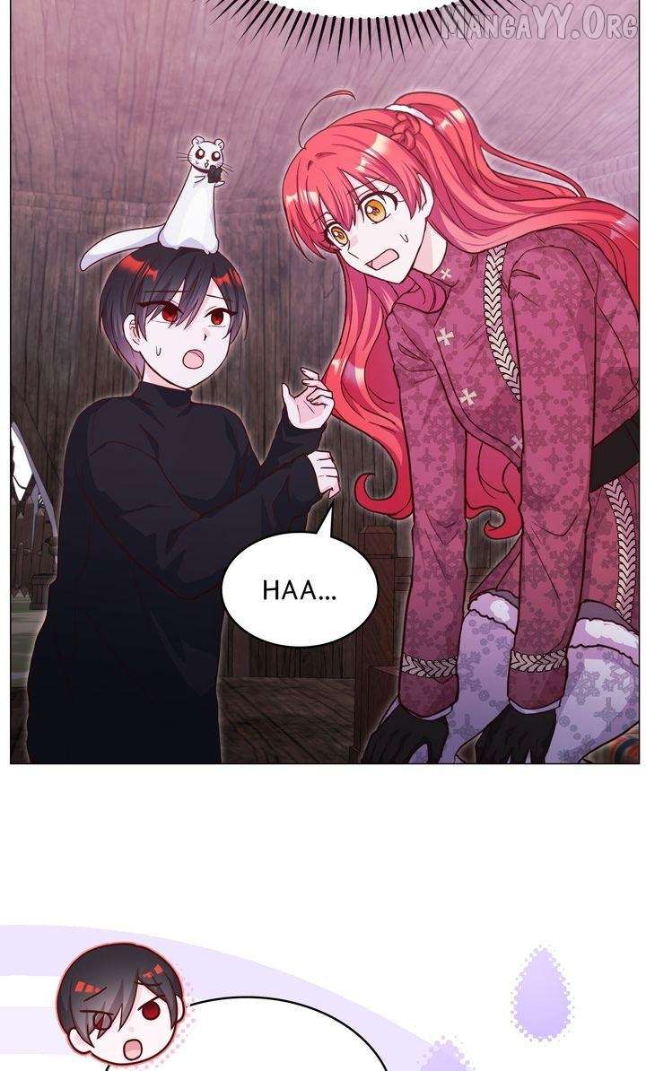 ch 36 34