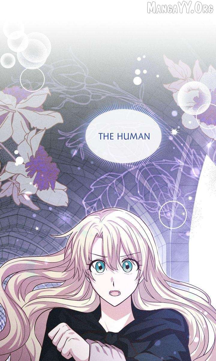 ch 37 1