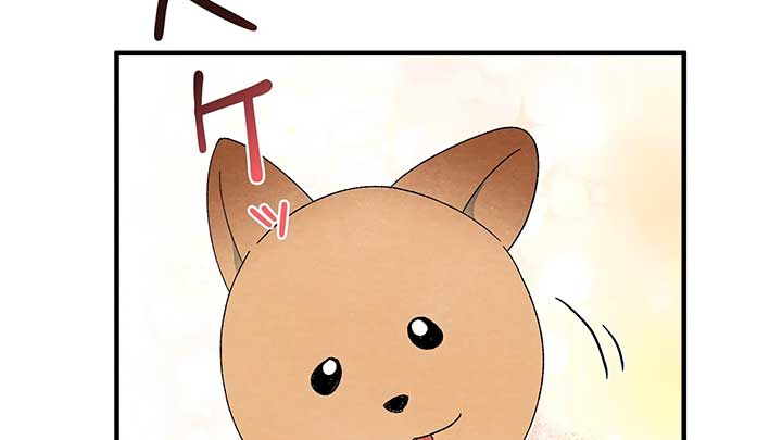ch 2 225
