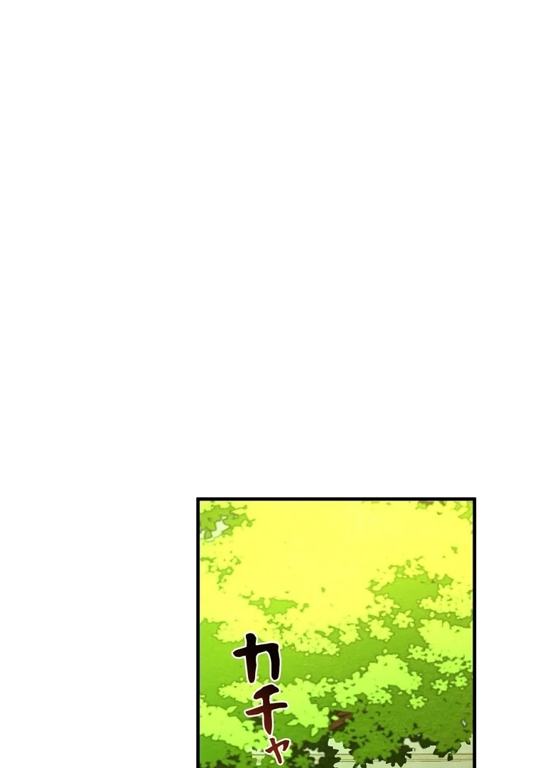 ch 3 47
