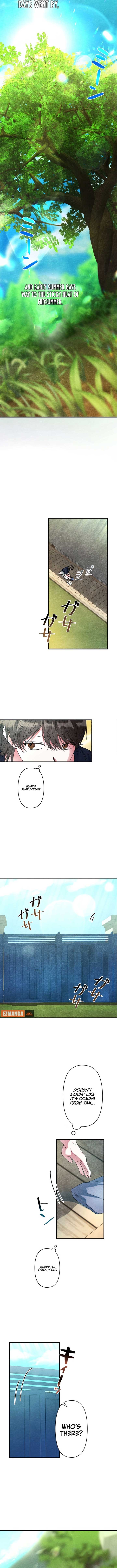 ch 5 6