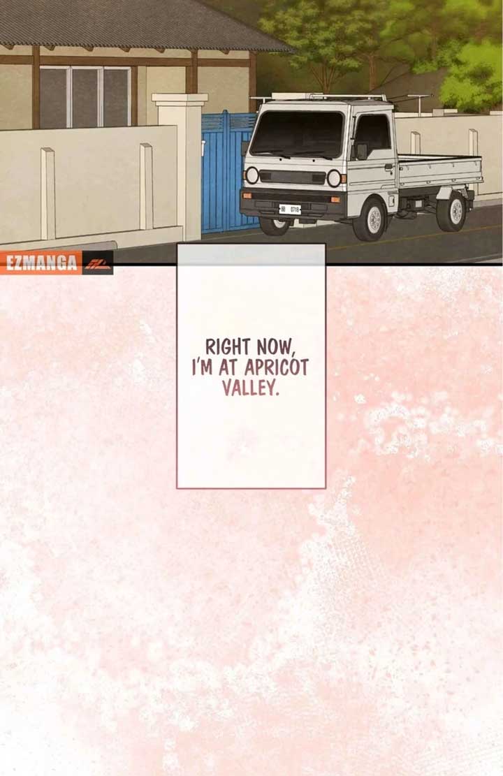 ch 8 100