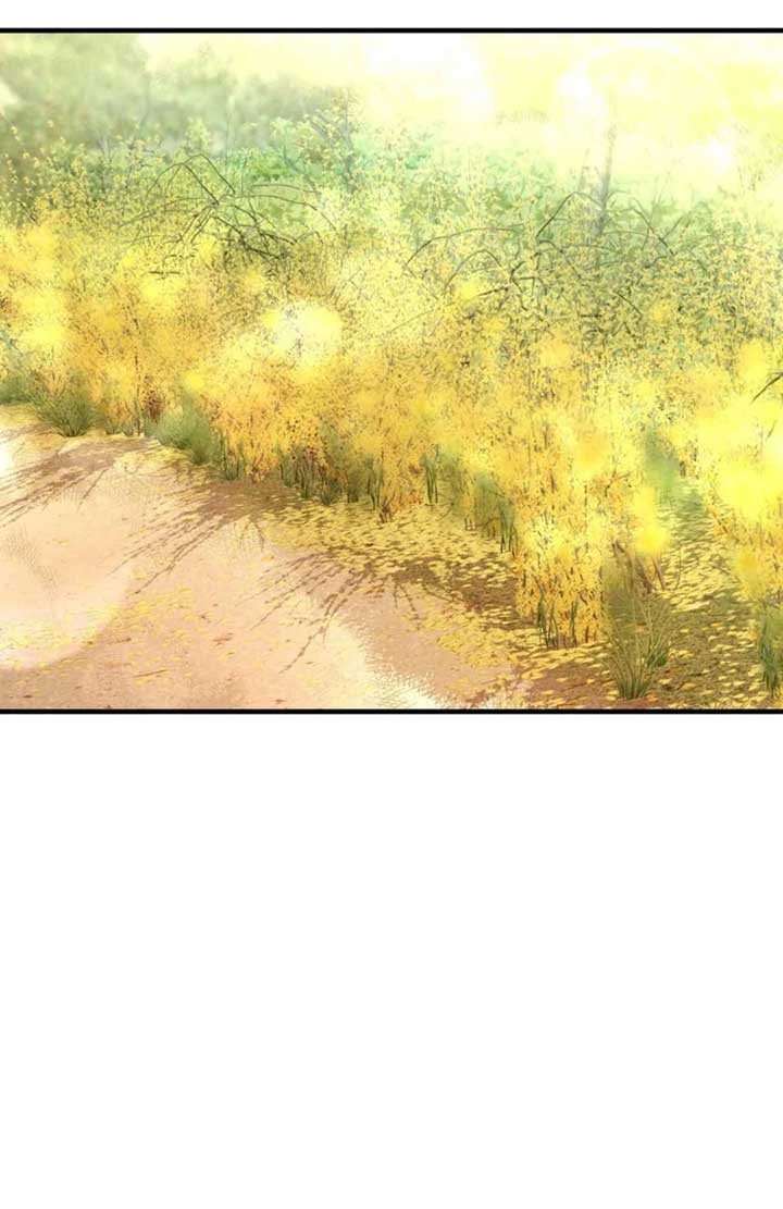 ch 8 27