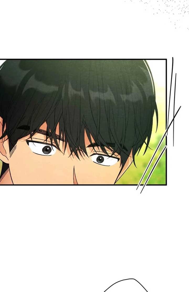 ch 8 8