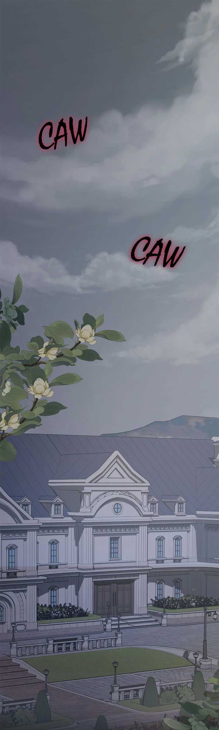 ch 1 1