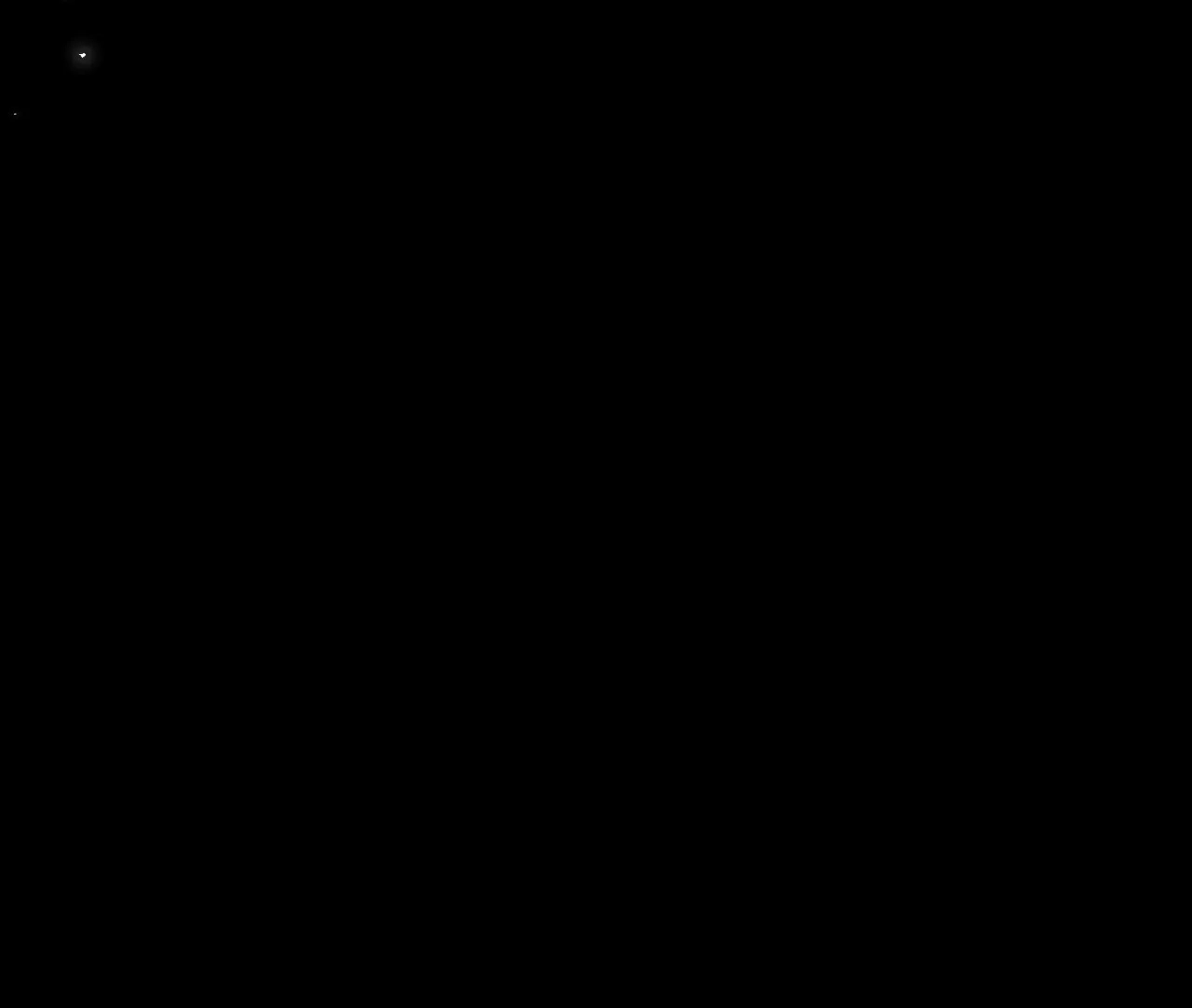 c2462e9d6958