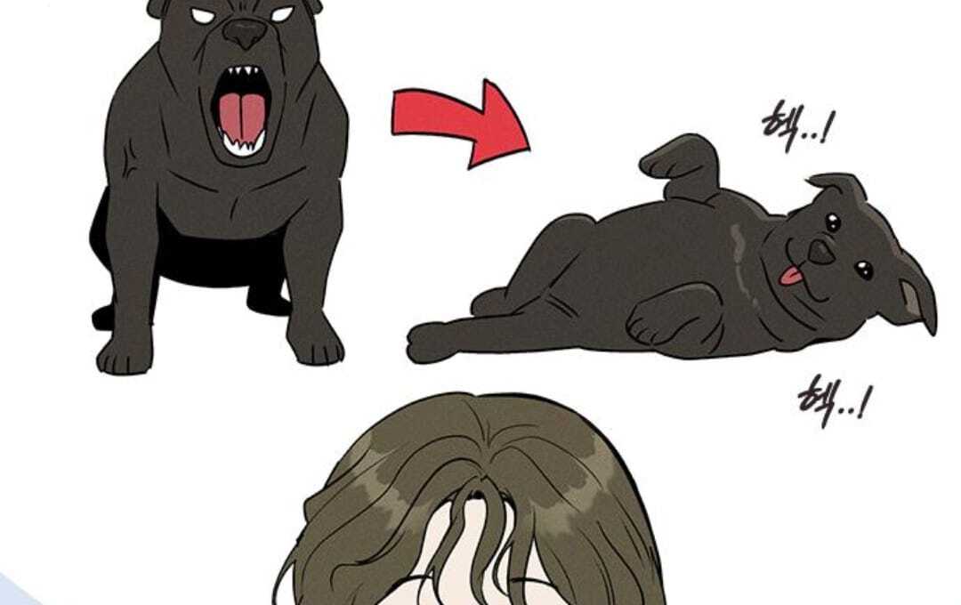 ch 4 218