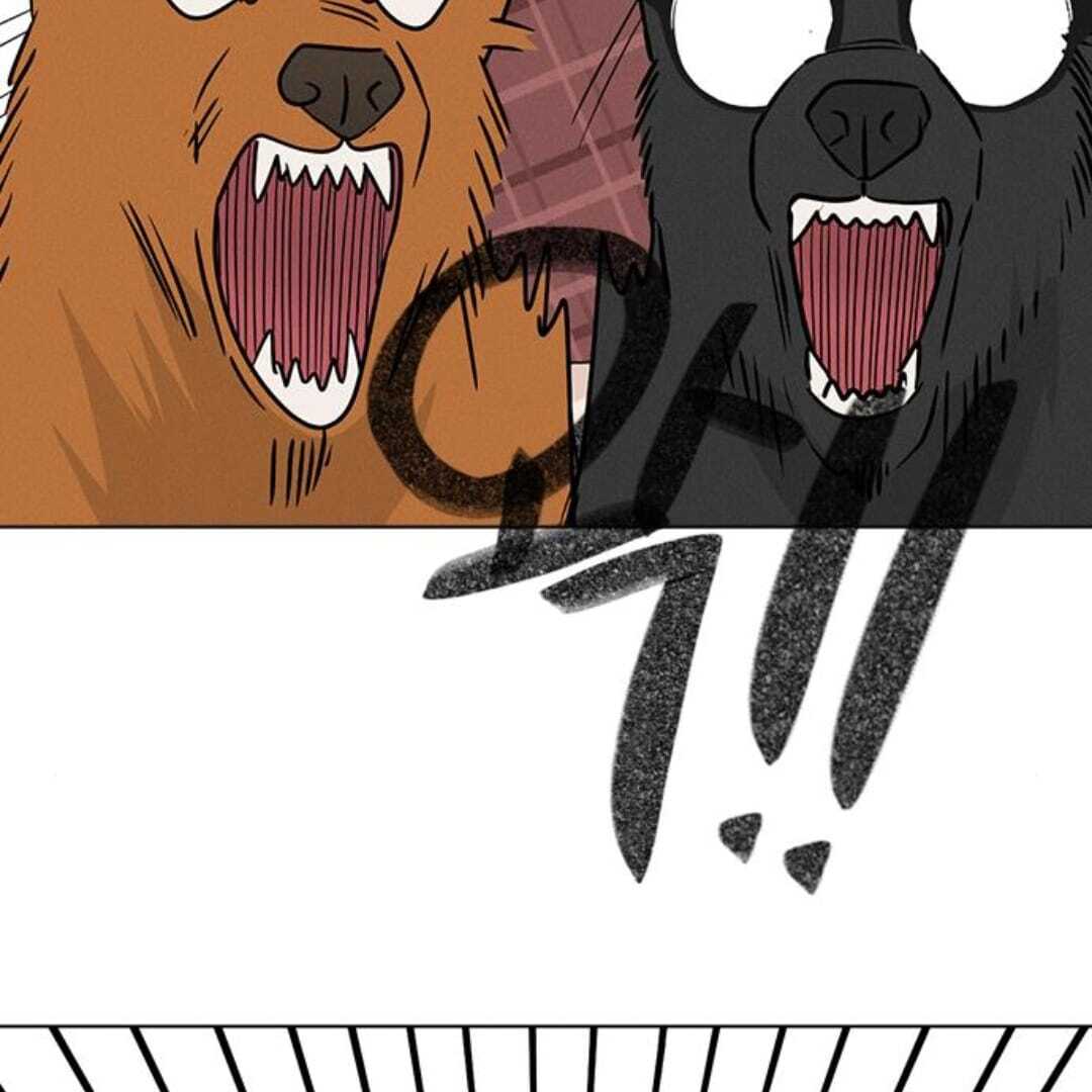 ch 4 22