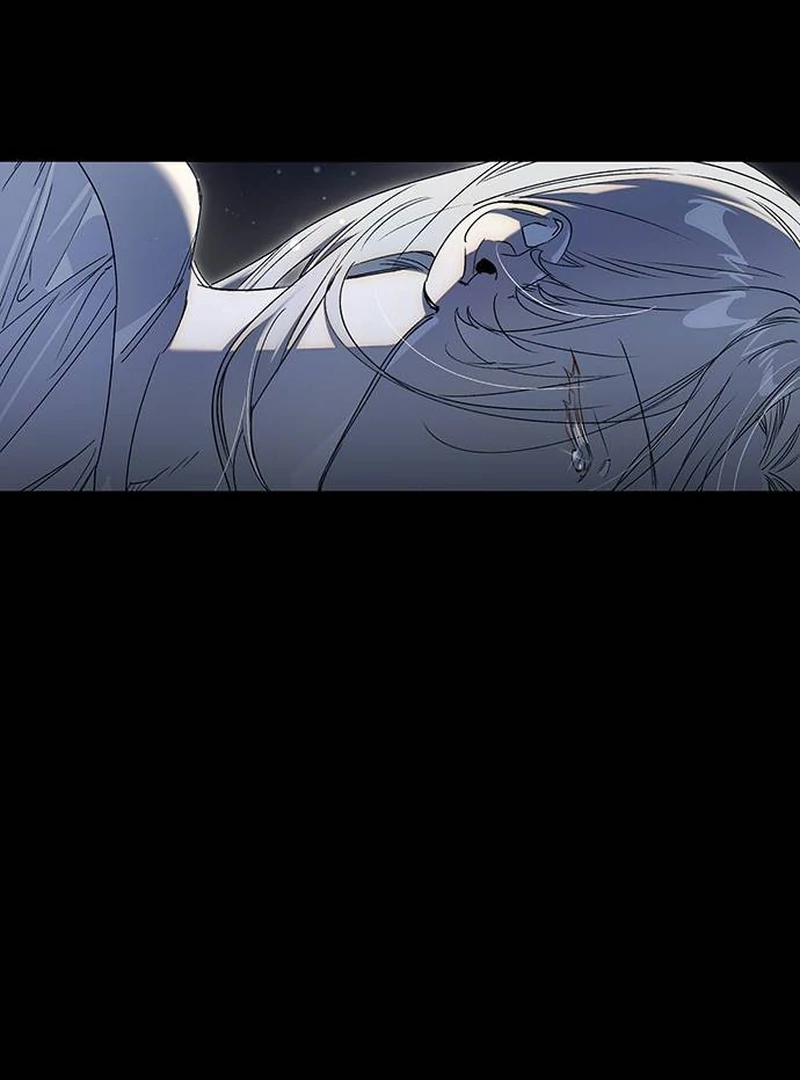 ch 16 81