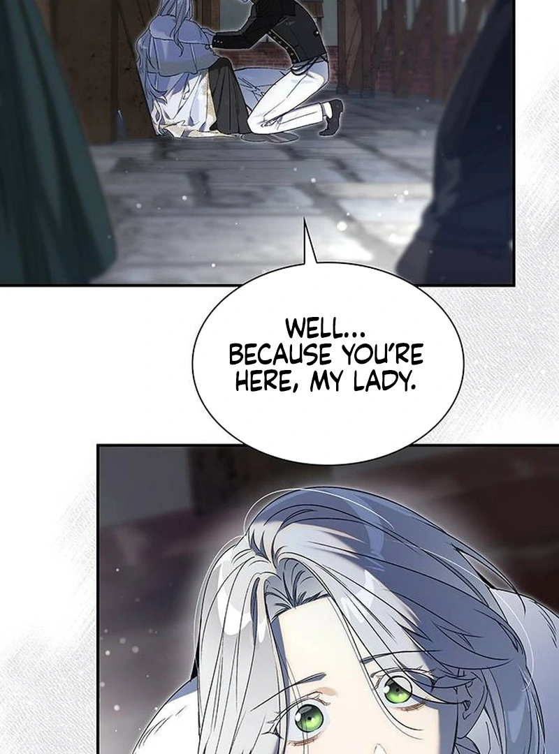 ch 17 81