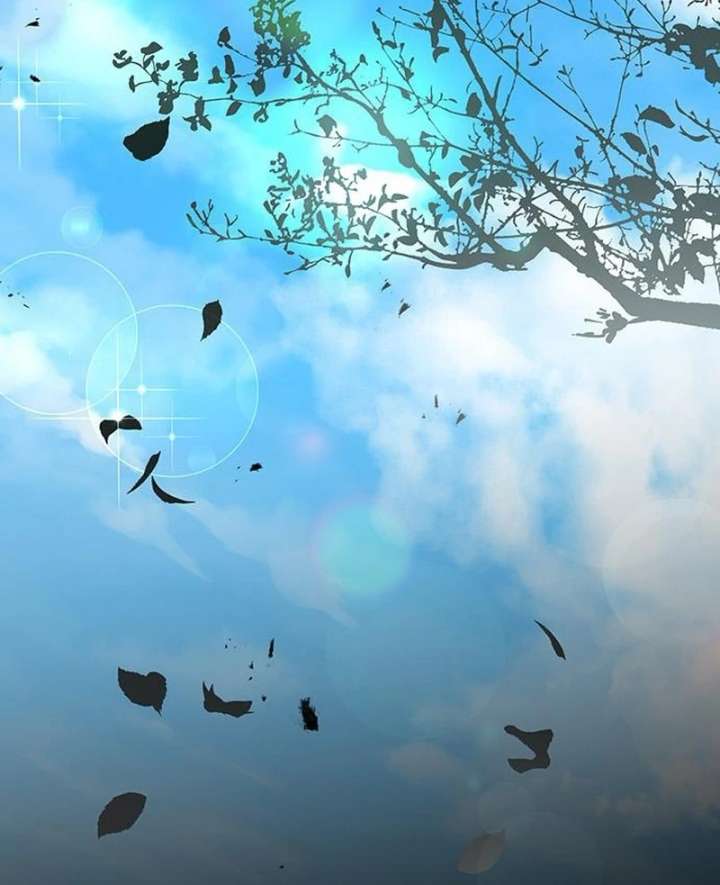 051