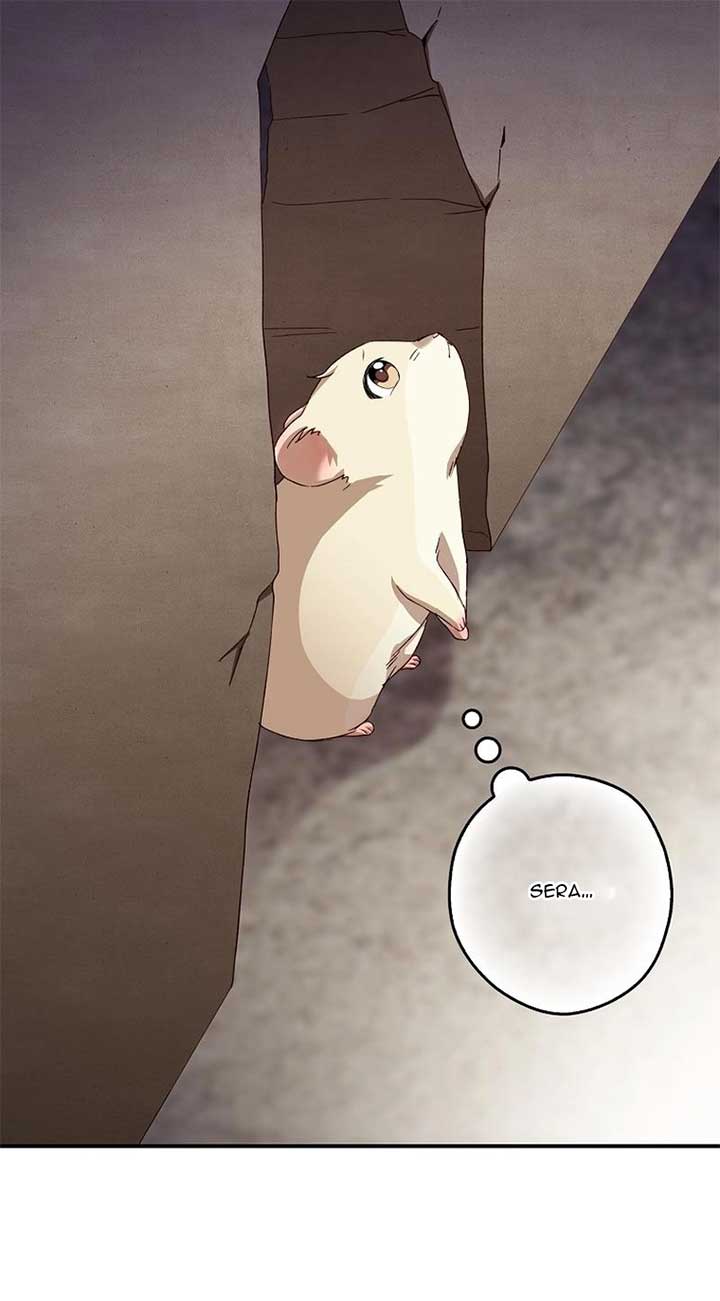 ch 4 43