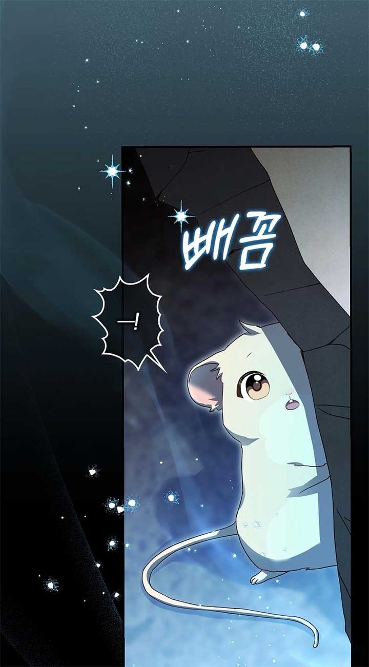 ch 4 49