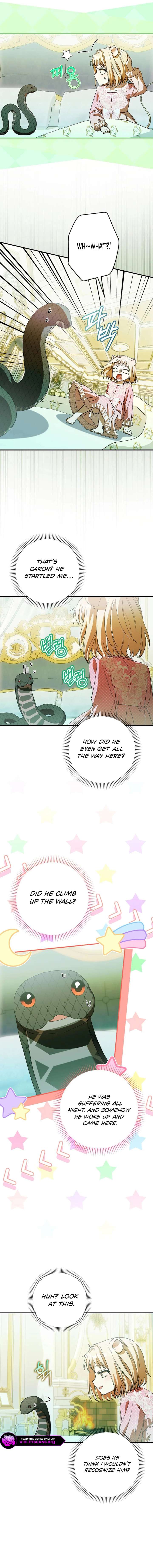 This wild mouse has taken Cinderella Chapter 43 62 1