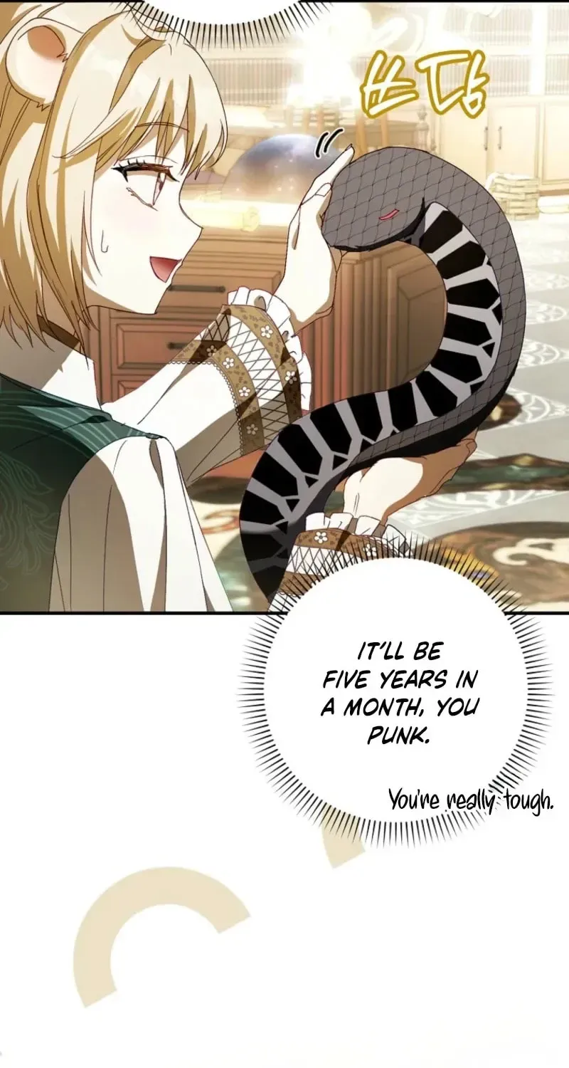 This wild mouse has taken Cinderella Chapter 45 338 315c0cf9be31