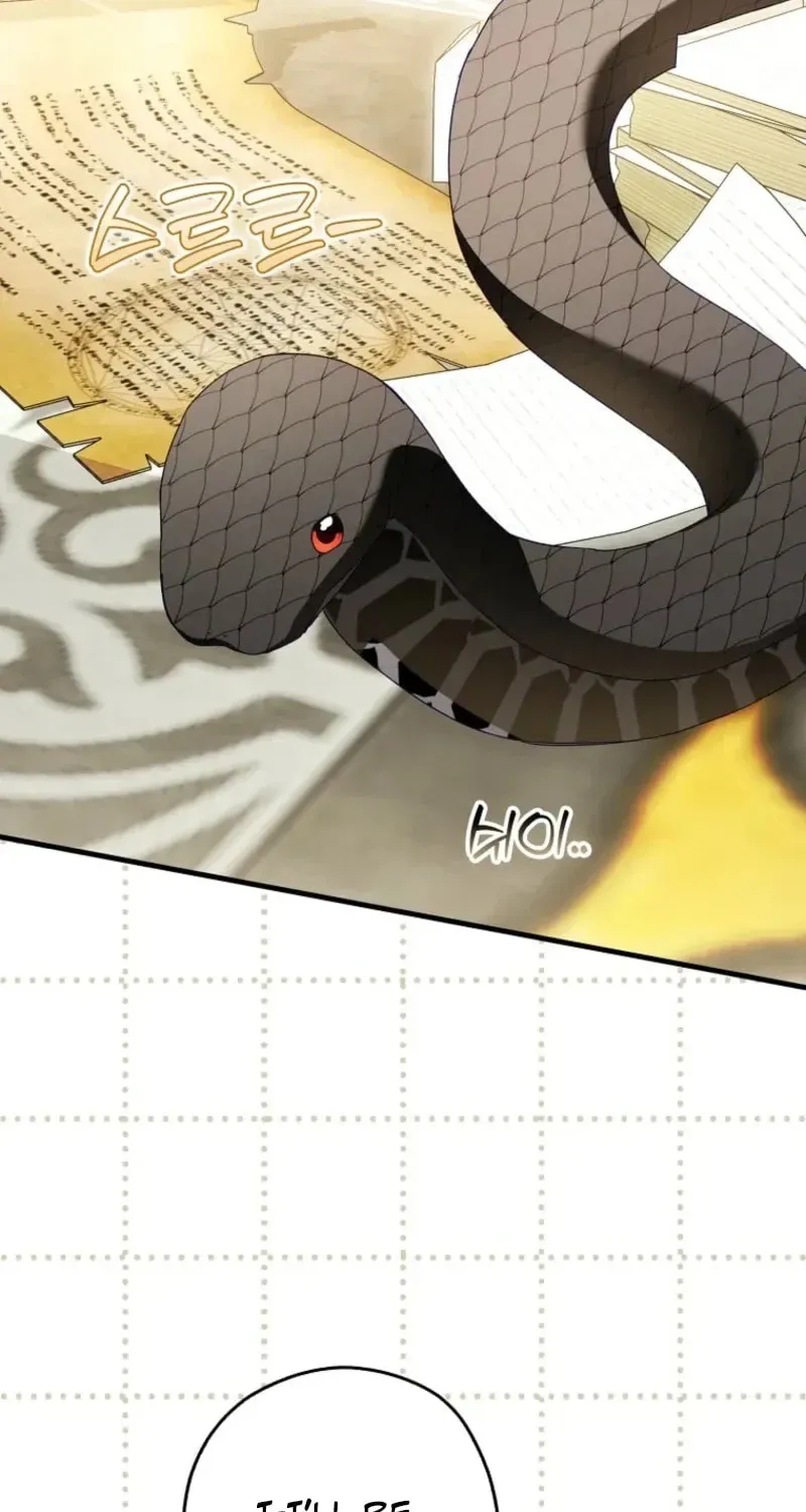 This wild mouse has taken Cinderella Chapter 45 334 cadf979a1d98