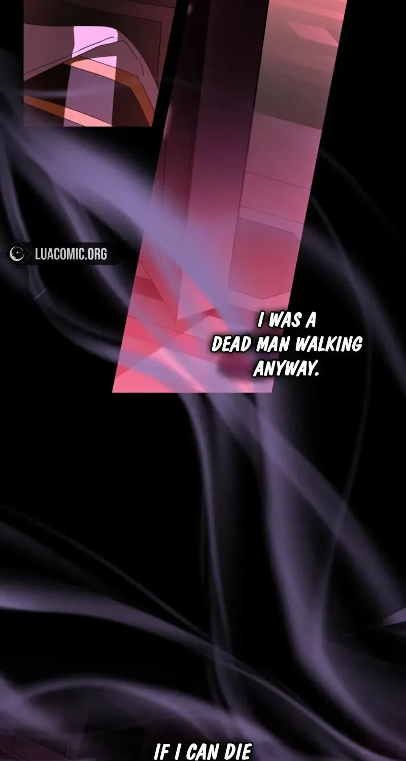 242c4fd8e0d8