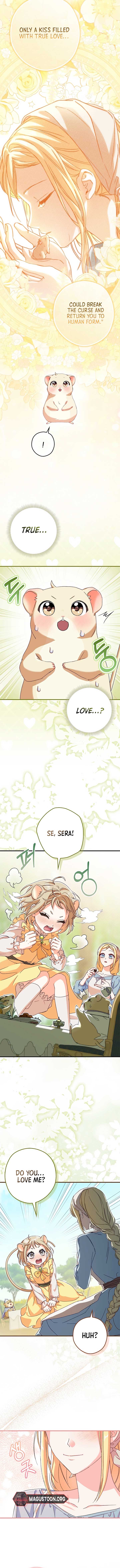 ch 6 9