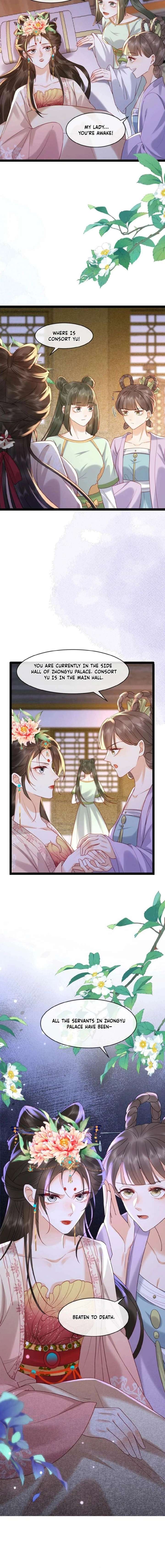 ch 81 8