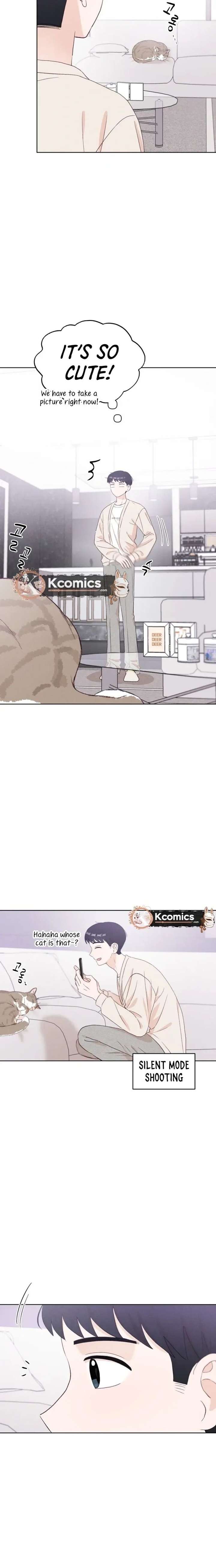 ch 17 21