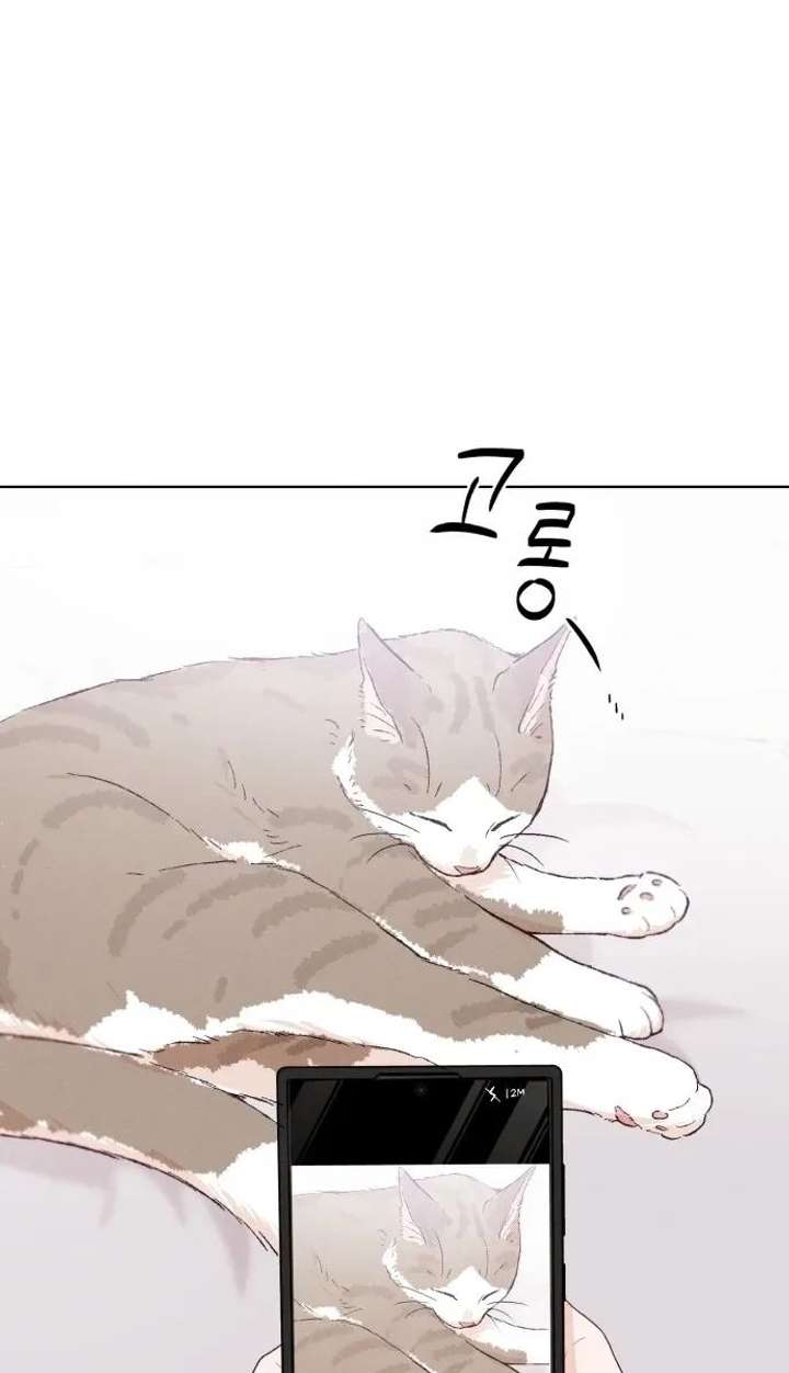 ch 17 22