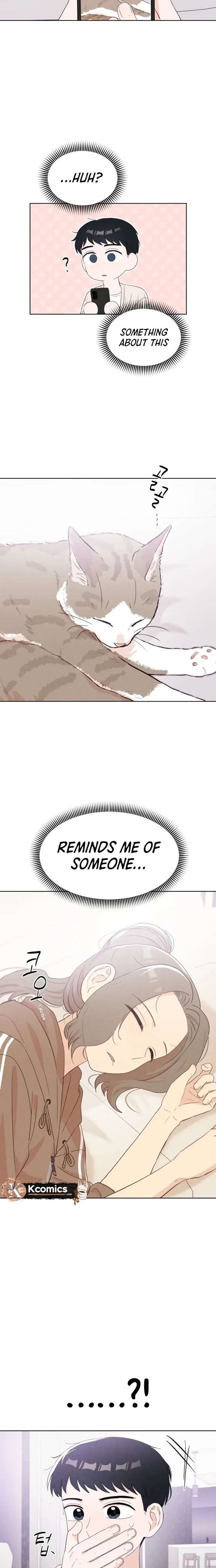 ch 17 23