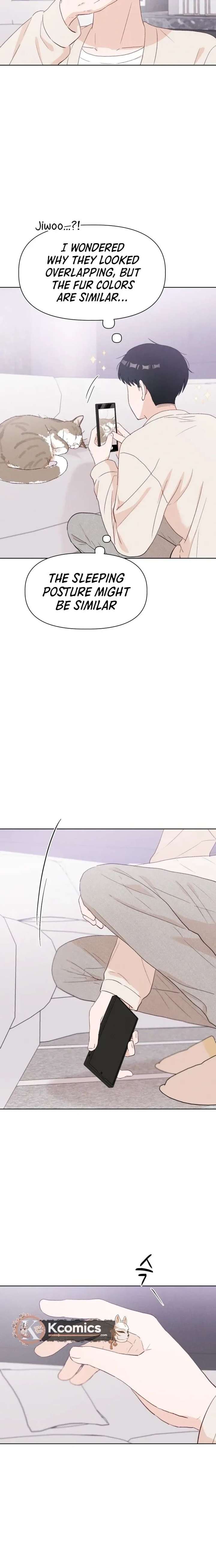 ch 17 24