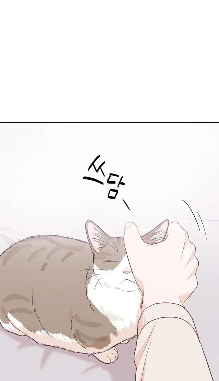 ch 17 25