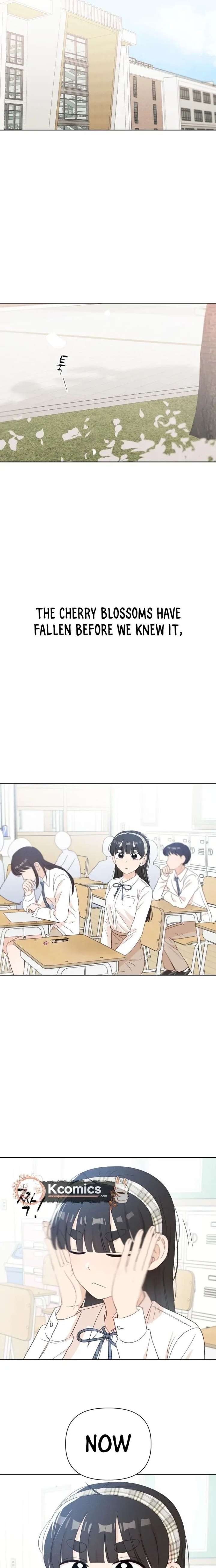 ch 17 29