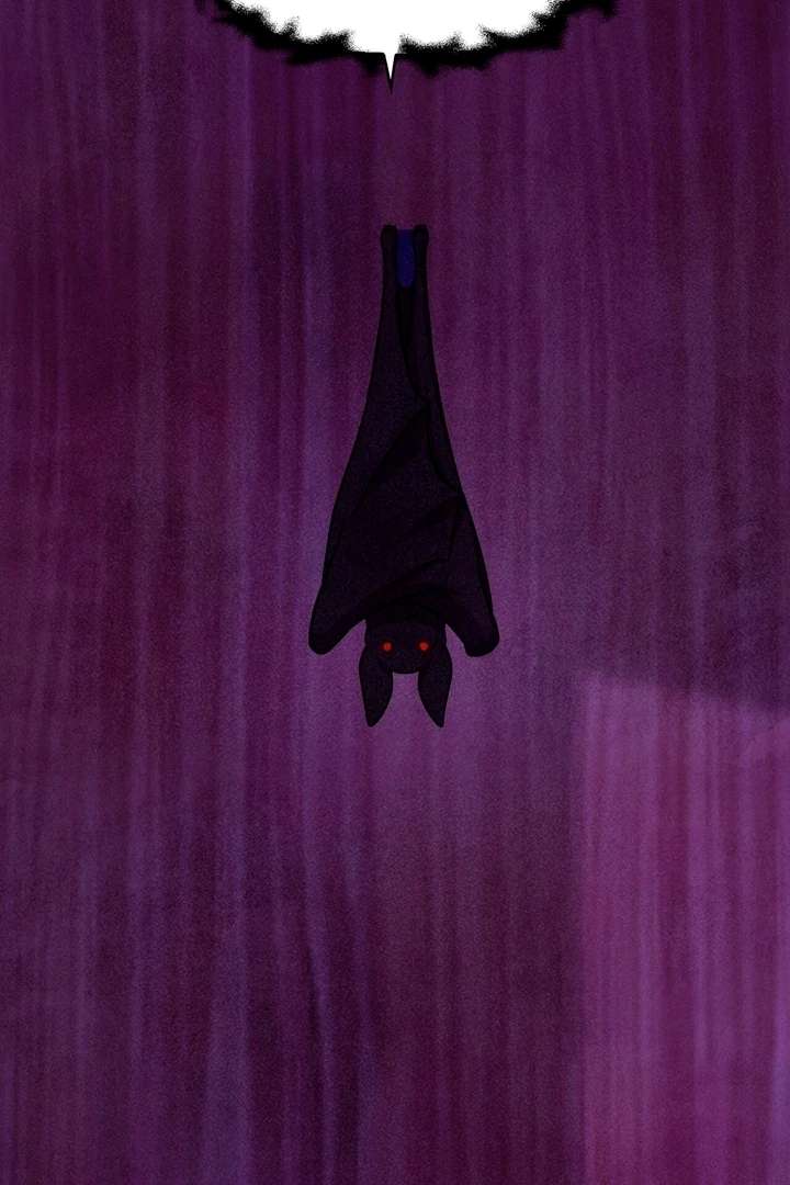 67