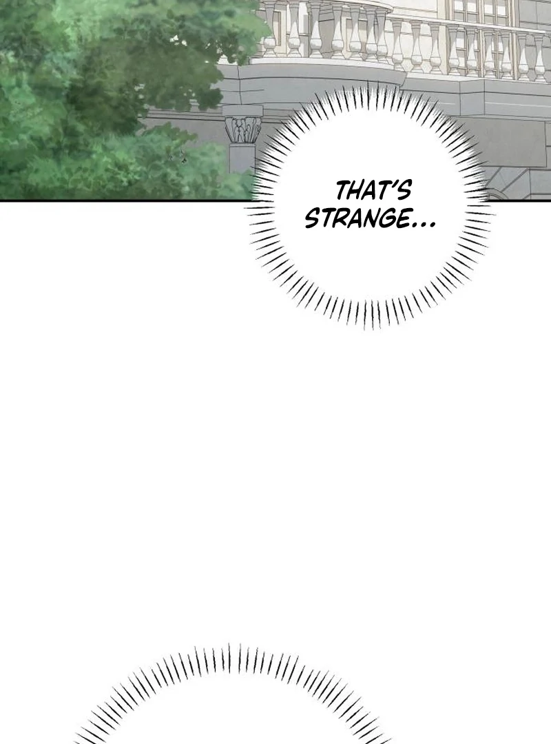 My Husband Was Stolen Twice Chapter 28 396 023